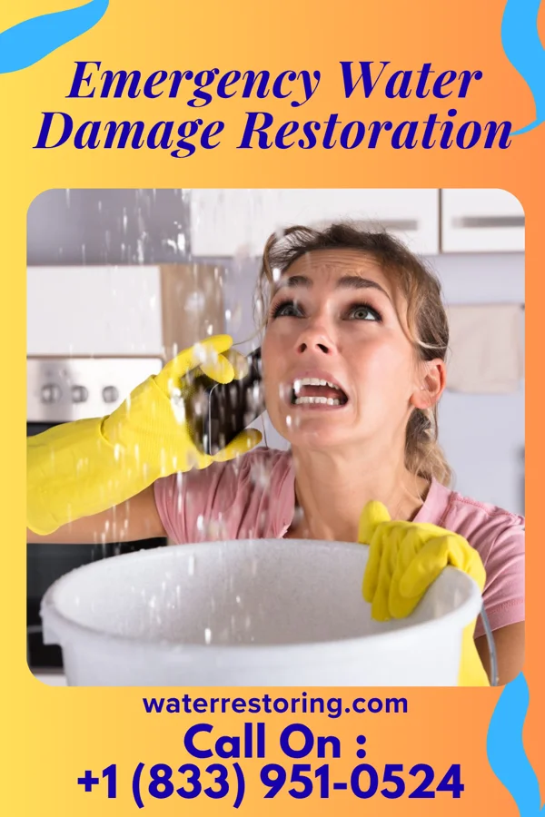Emergency Water Damage Restoration in Iola, TX