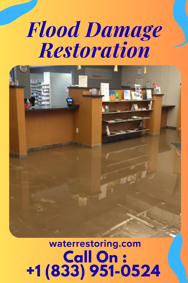 Flood Damage Restoration in Iola, TX