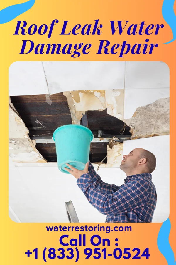 Roof Leak Water Damage Repair in Iola, TX