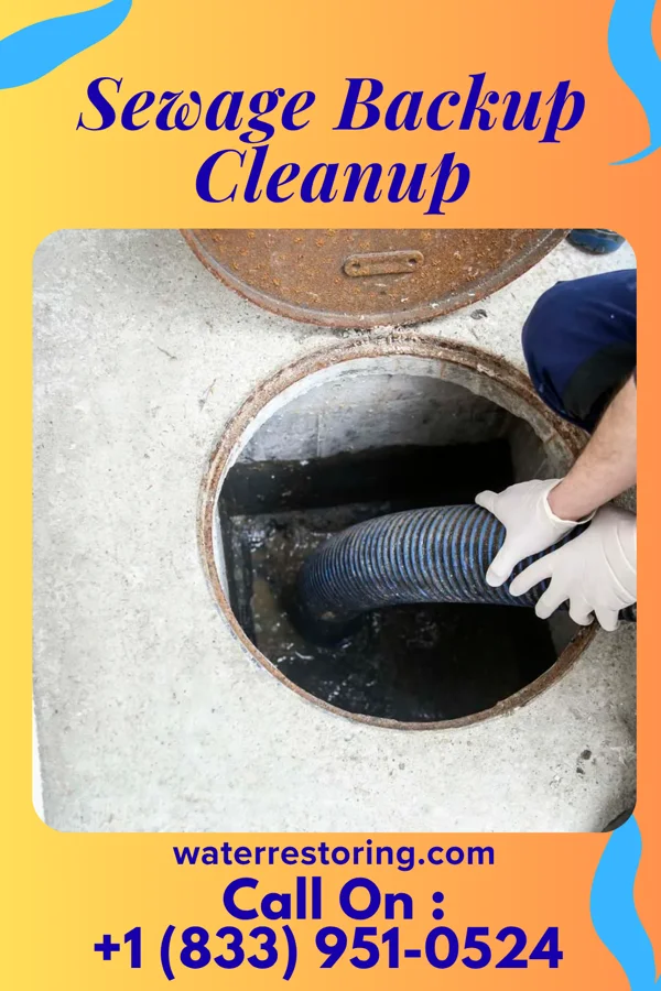 Sewage Backup Cleanup in Iola, TX