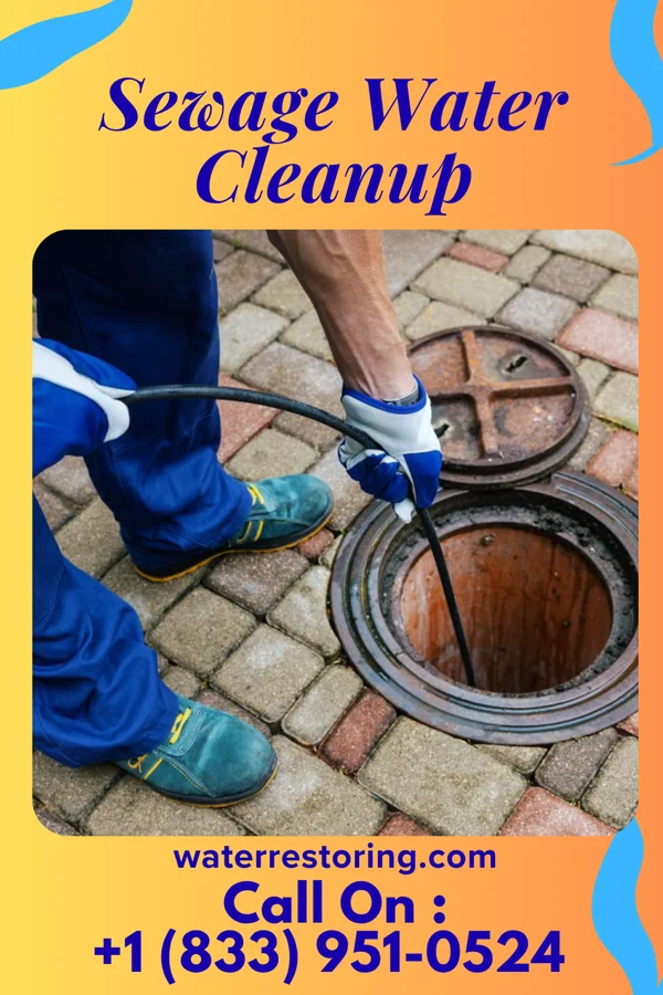 Sewage Water Cleanup in Iola, TX