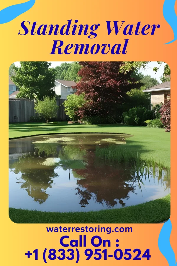 Standing Water Removal in Iola, TX